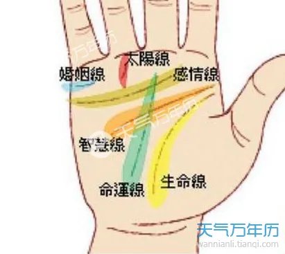 男人生命线图解 男人的十种生命线详解