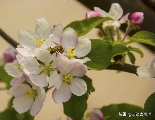 摄影是艺术吗？