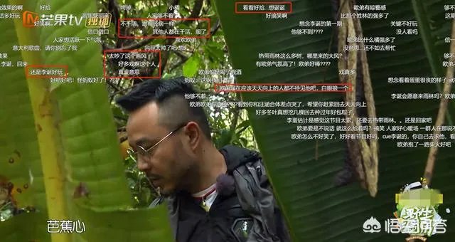 《野生厨房》中汪涵表现耐人寻味，有人说汪涵为何不搭理欧弟？