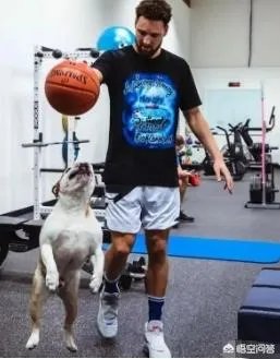 库里和克莱的伤势都怎么样了，什么时候可以打比赛？