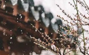 初五不出门是什么意思 初五不出门有哪些意思