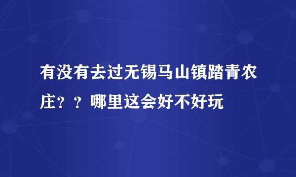 有没有去过无锡马山镇踏青农庄？？哪里这会好不好玩