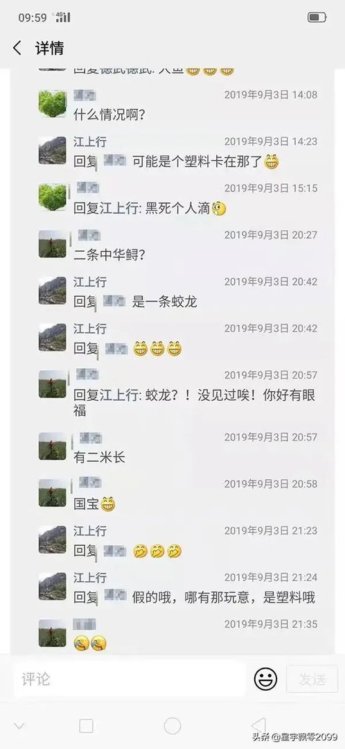 前几天出现的“三峡水怪”是什么，会是未知的生物吗？