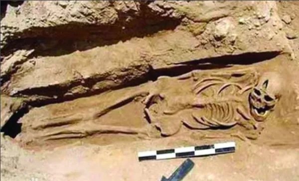 安阳曹操墓了解多少？