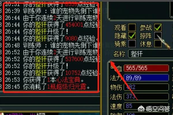 问道宠物亲密度怎么刷？