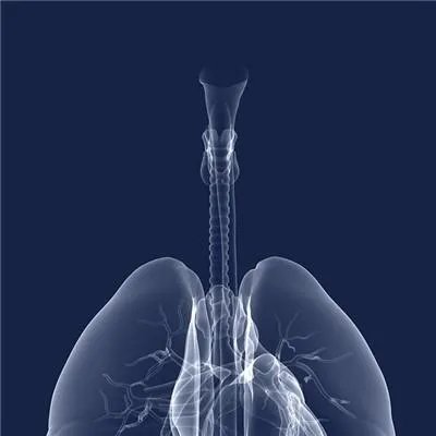 丙肝病发症状有哪些