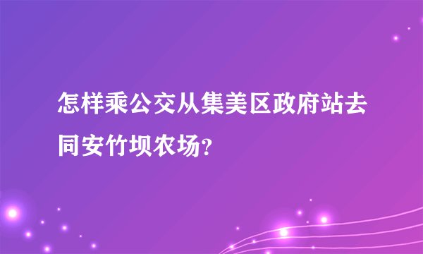 怎样乘公交从集美区政府站去同安竹坝农场？