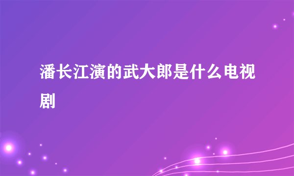 潘长江演的武大郎是什么电视剧