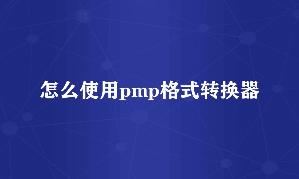 怎么使用pmp格式转换器