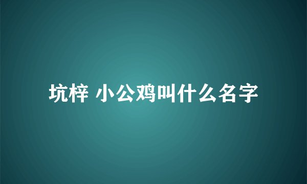 坑梓 小公鸡叫什么名字