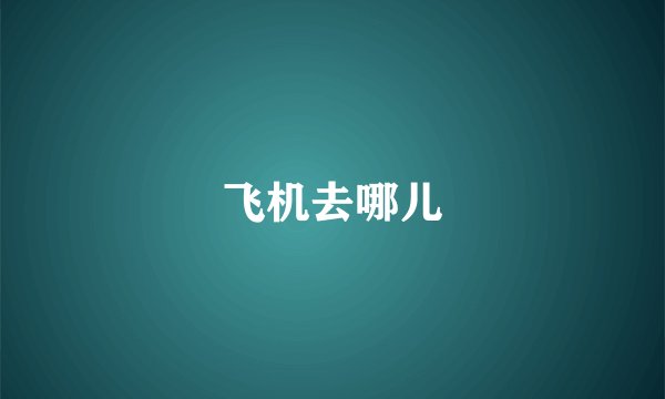 飞机去哪儿