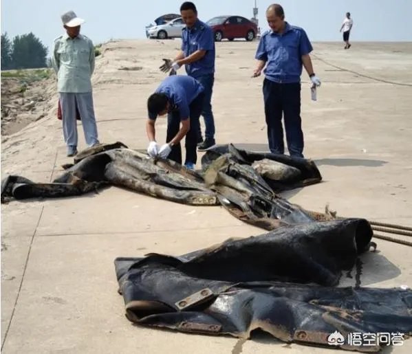 前几天出现的“三峡水怪”是什么，会是未知的生物吗？