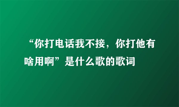 “你打电话我不接，你打他有啥用啊”是什么歌的歌词