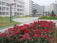 信阳农业高等专科学校是在市里吗?学校怎么样啊？