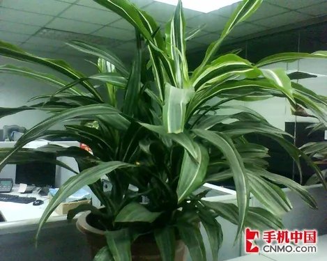 经典演绎 索尼爱立信首款下翻W350评测