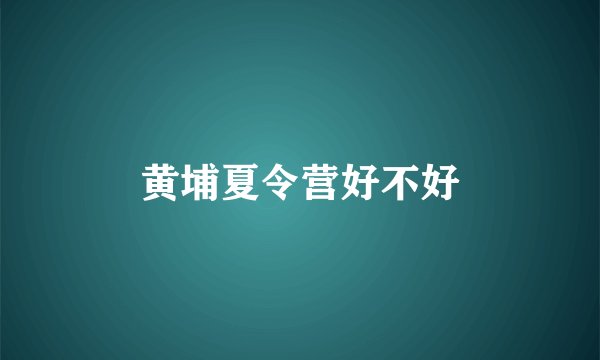 黄埔夏令营好不好