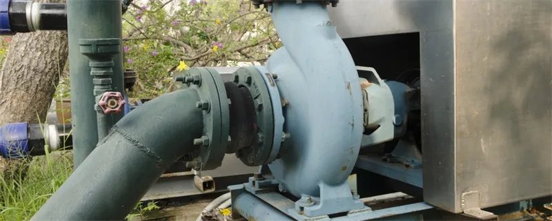 水妖精是什么 什么是水妖精