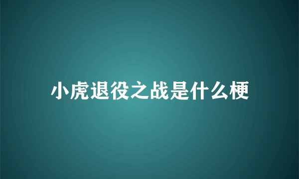 小虎退役之战是什么梗