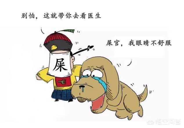 狗狗泪痕怎么解决?