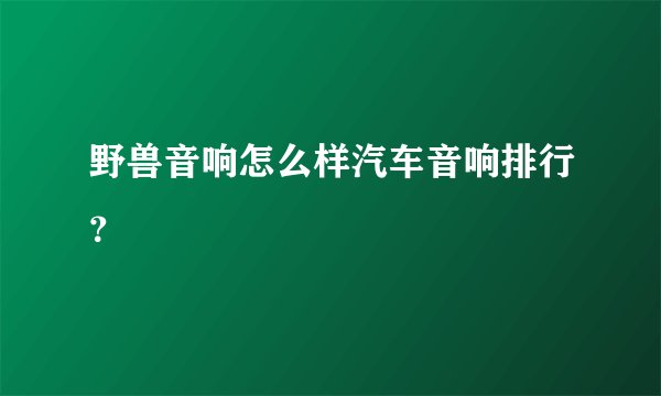 野兽音响怎么样汽车音响排行？