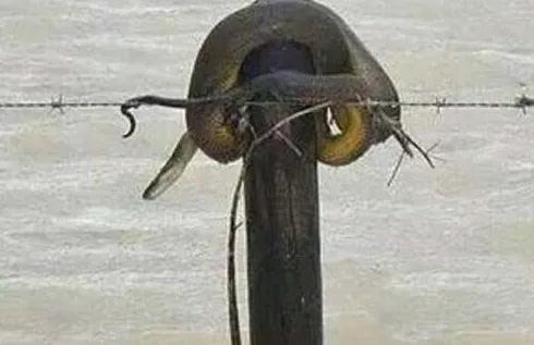 暴雨天碰到这个要赶紧逃命!