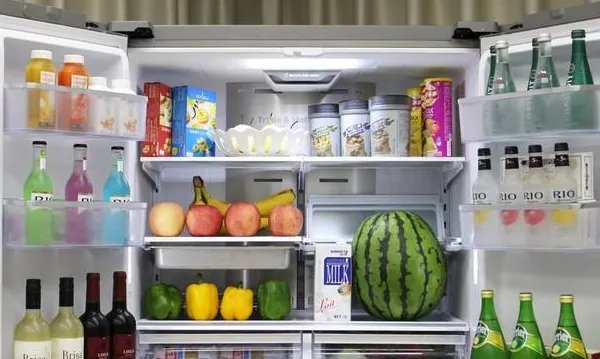 中国十大名牌冰箱排行榜