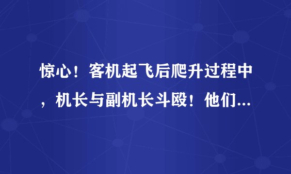 惊心！客机起飞后爬升过程中，机长与副机长斗殴！他们两人会被如何处罚？