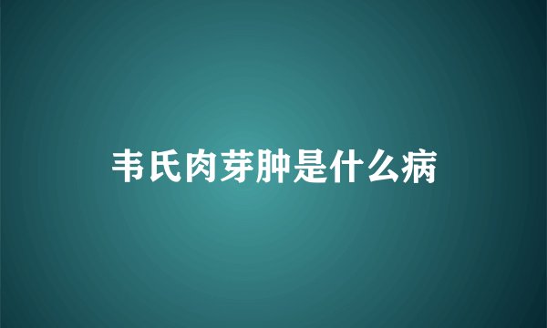 韦氏肉芽肿是什么病