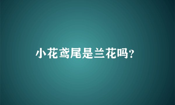 小花鸢尾是兰花吗？