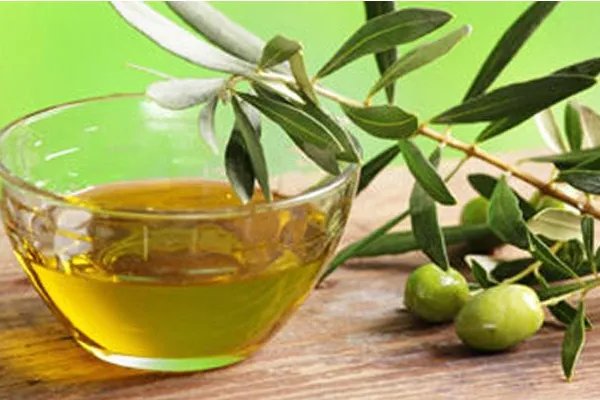 茶籽油和橄榄油的区别