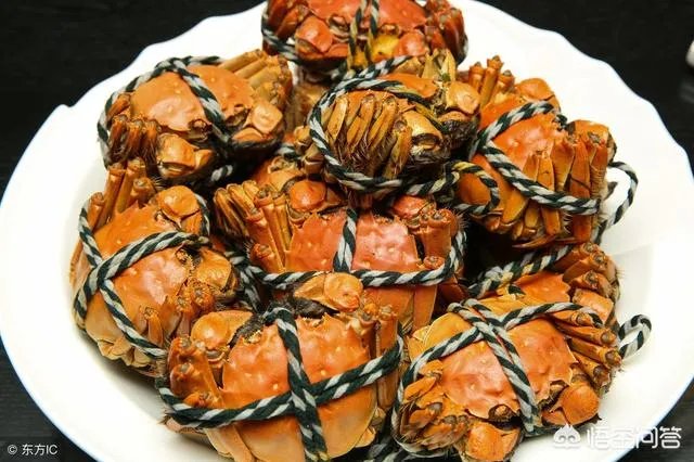 你喜欢钓鱼吗？你在钓鱼时遇到过什么奇闻吗？