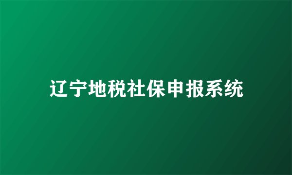 辽宁地税社保申报系统