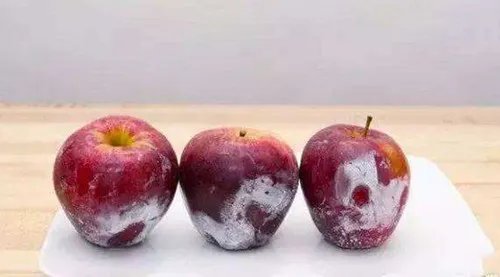 健康生活小窍门2018  生活中的小窍门有哪些