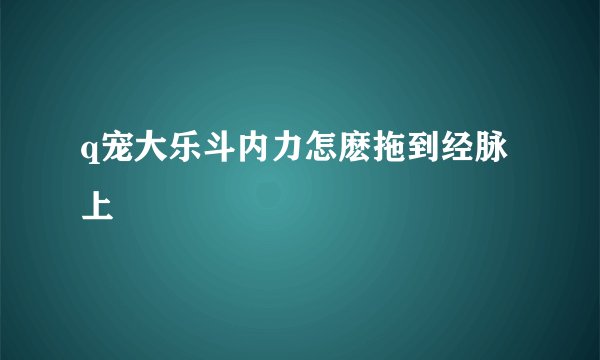 q宠大乐斗内力怎麽拖到经脉上