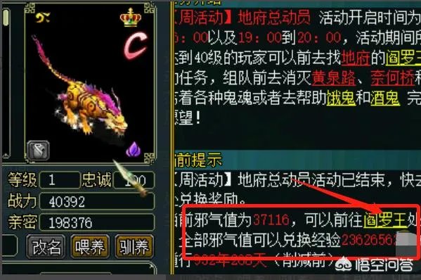 问道宠物亲密度怎么刷？