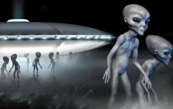 1999年保密计划是真的吗