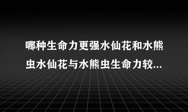 哪种生命力更强水仙花和水熊虫水仙花与水熊虫生命力较强的是哪个