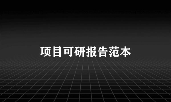项目可研报告范本