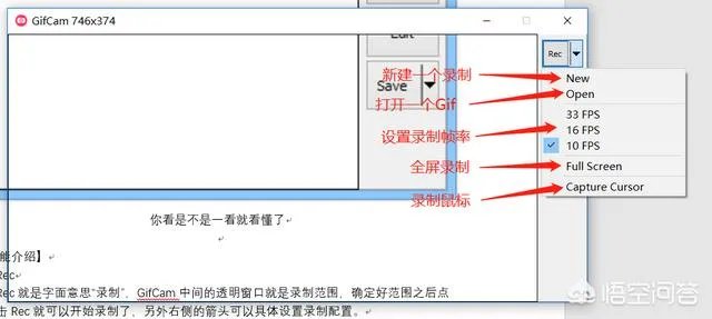 制作GIF动图，哪些软件简单易操作？