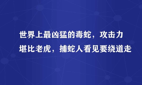 世界上最凶猛的毒蛇，攻击力堪比老虎，捕蛇人看见要绕道走