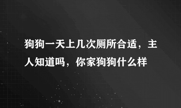狗狗一天上几次厕所合适，主人知道吗，你家狗狗什么样