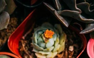 两个人的名字配对缘分 名字减名字的笔画差数