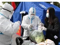 伊宁居民隔离宠物狗被扑杀，涉事干部被免，此事的处理方式有何不妥之处？