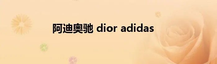 阿迪奥驰 dior adidas