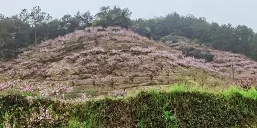 广东龙川县十大旅游景点