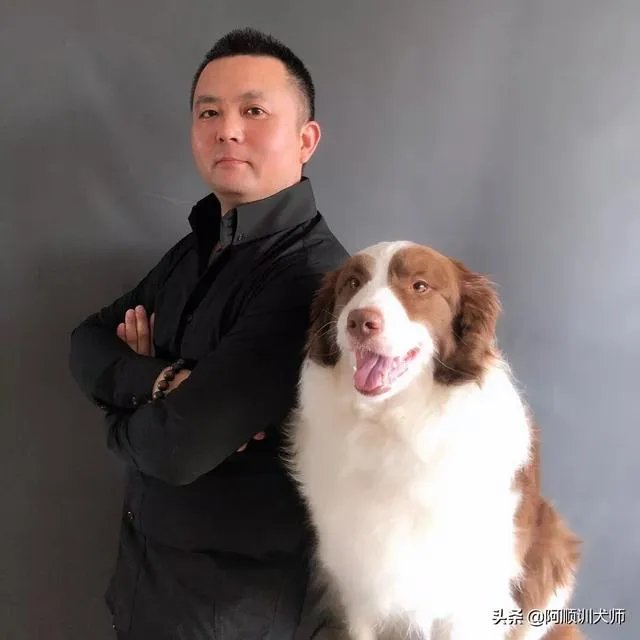 训狗师这个工作怎么样？