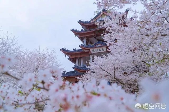 无锡、苏州两地的方言区别很大，但无锡的《太湖美》和《无锡景》用苏州话唱，为什么？