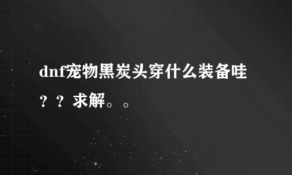 dnf宠物黑炭头穿什么装备哇？？求解。。