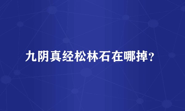 九阴真经松林石在哪掉？