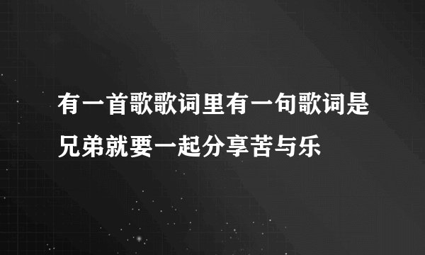 有一首歌歌词里有一句歌词是兄弟就要一起分享苦与乐